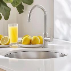 Quadri Stamford Küchenmischer Chrom mit schwenkbarem rundem Auslauf 1208956110